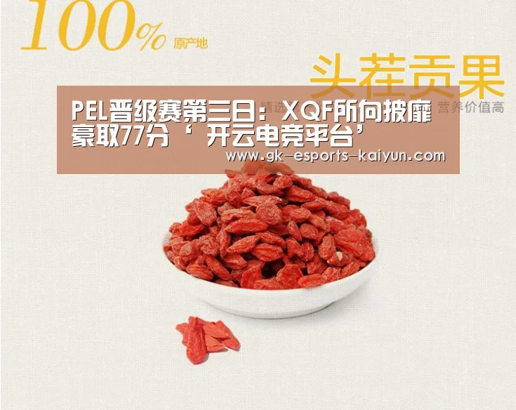 PEL晋级赛第三日:XQF所向披靡 豪取77分‘ 开云电竞平台’(图2) 开云电竞平台