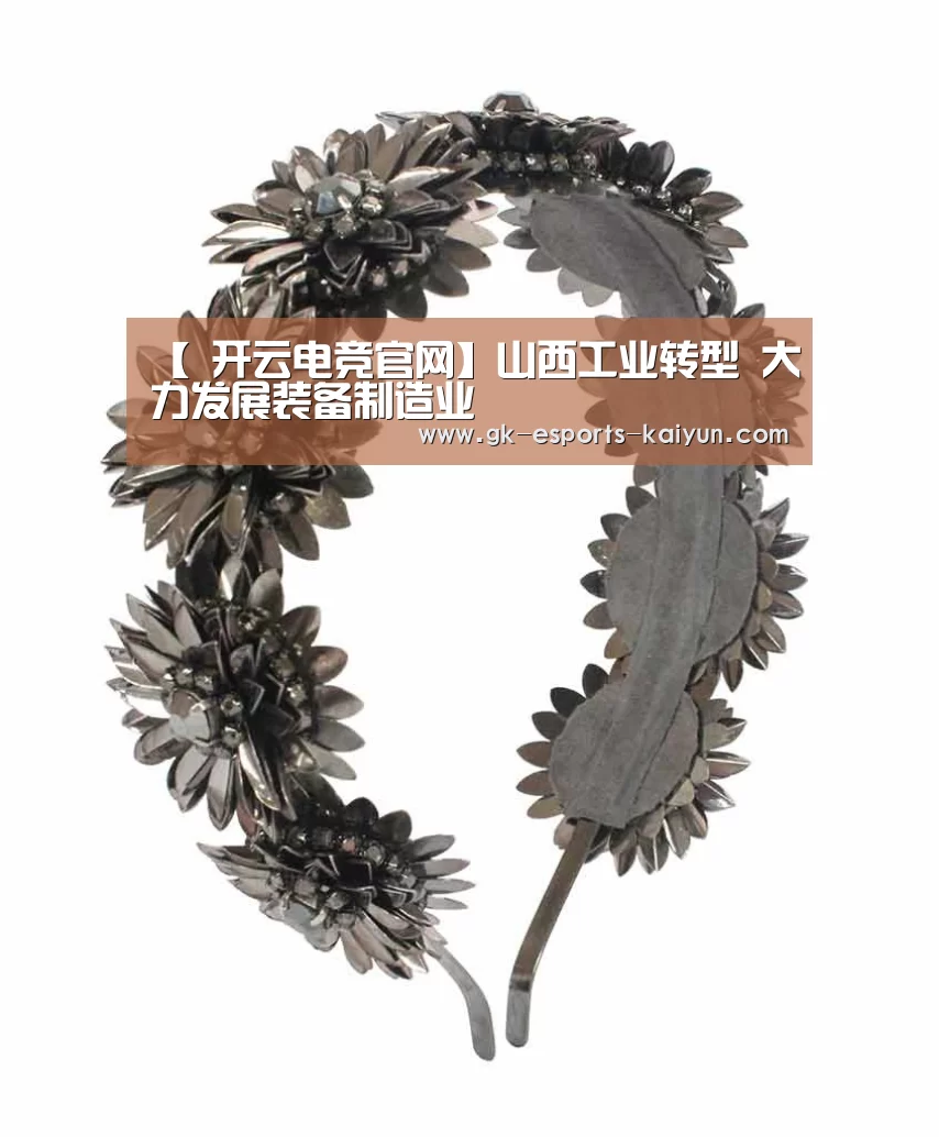  开云电竞官网