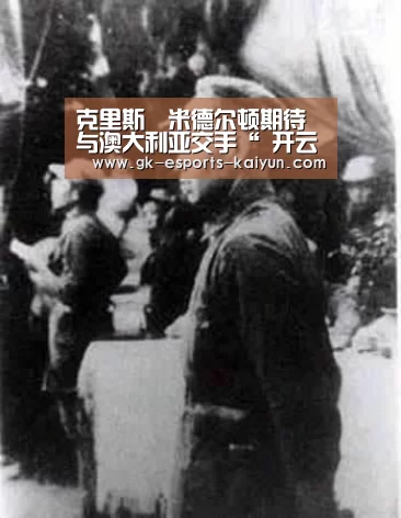  开云电竞平台