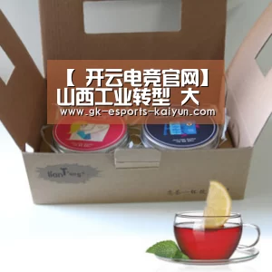  开云电竞官网
