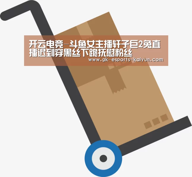  开云电竞官网