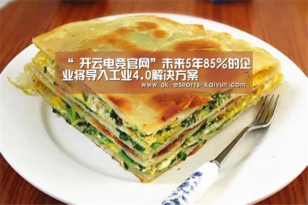  开云电竞官网