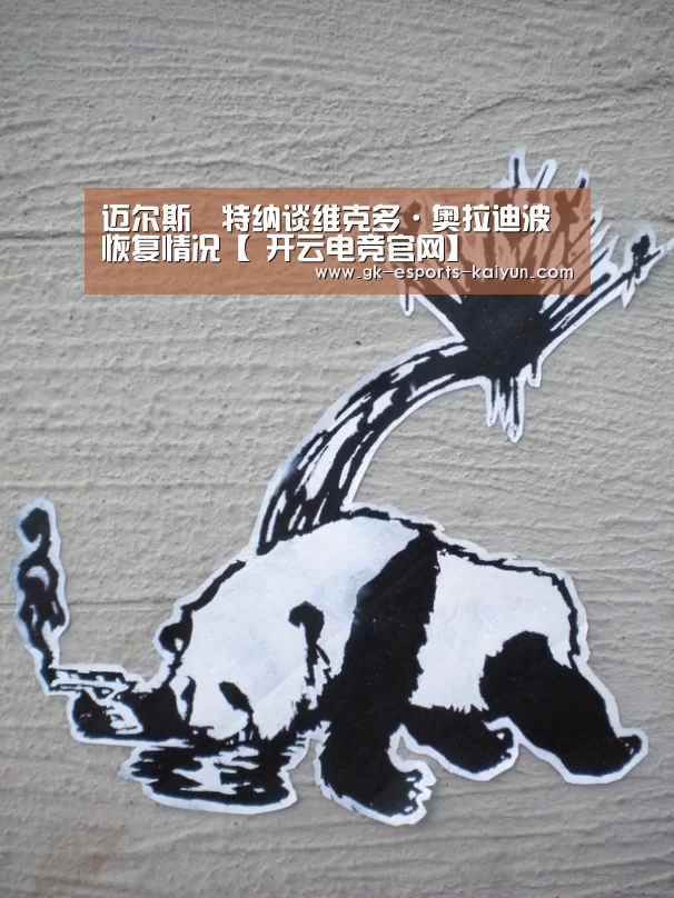  开云电竞官网